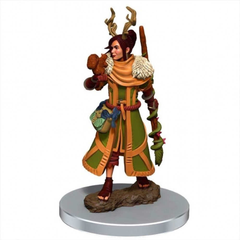 D&D Icons of the Realms Premium Figures: Female Human Druid