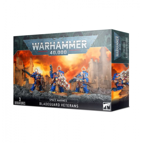   Warhammer 40K: Space Marines: Bladeguard Veterans